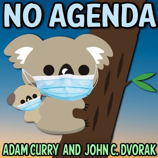 Koala Lockdown by Darren O'Neill