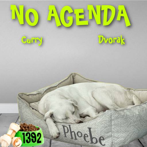 Welcome Phoebe! by Dame Kenny-Ben 