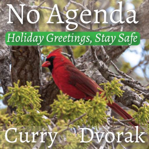 Photo by our Human Resource - Holiday Stay Safe by Smelly