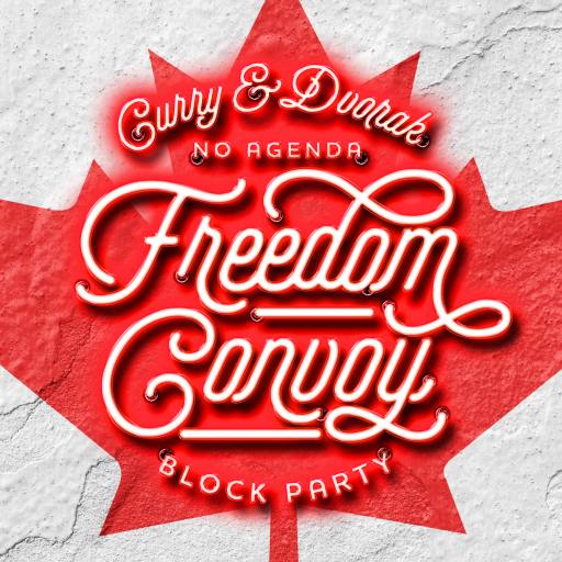 Freedom Convoy Block Party by nicefox