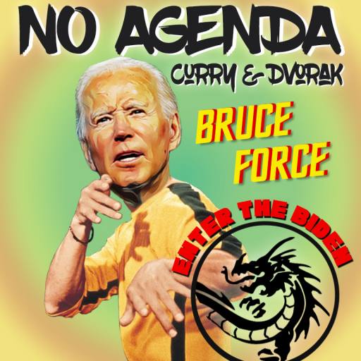BRUCE FORCE (Enter the Biden) by nessworks