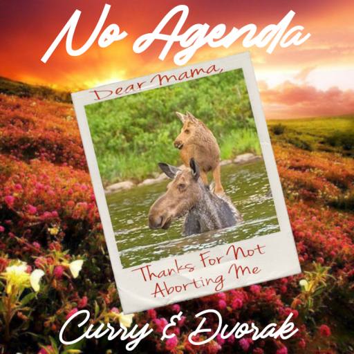 Dear m00se Momma by m00se