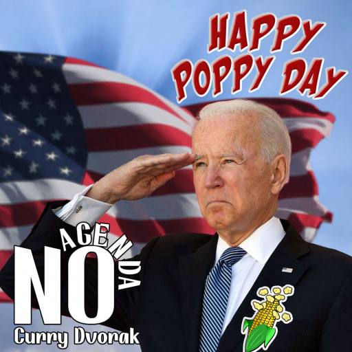 corn poppy day by Tante_Neel