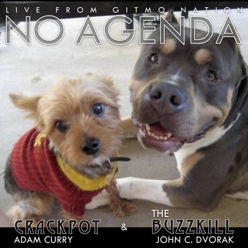 Yorkie & pit bull 2 by MatthewDropco1972