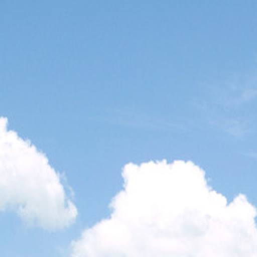 Equitable Trees 2 by MatthewDropco1972