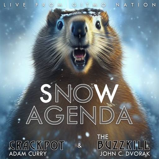 Snow Agenda by Bill Walsh (Sir Saturday)