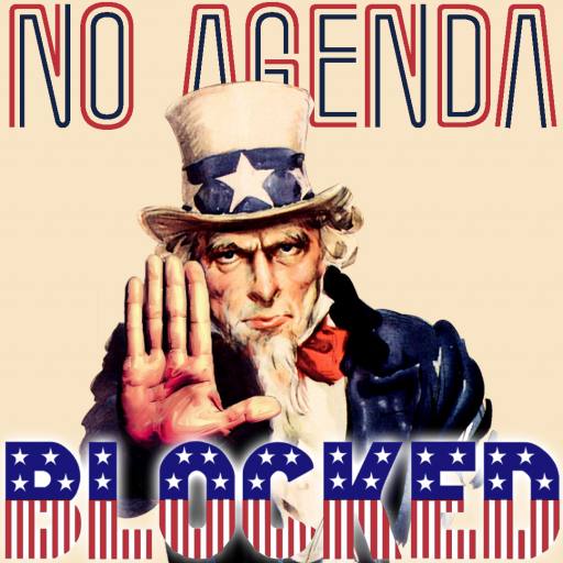 American Firewall by Melvin Gibstein