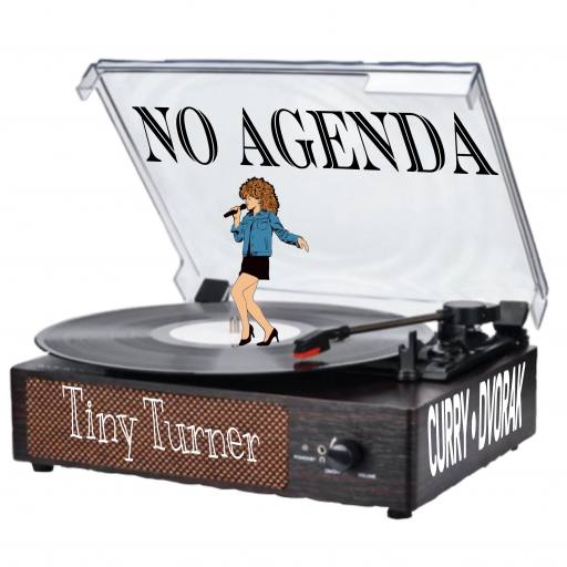 Tiny Turner by Dame Kenny-Ben 