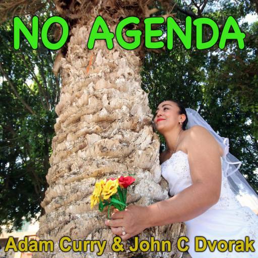 TREE BRIDES by MatthewDropco1972