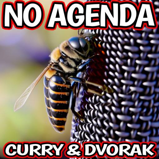 Hornet by Darren O'Neill