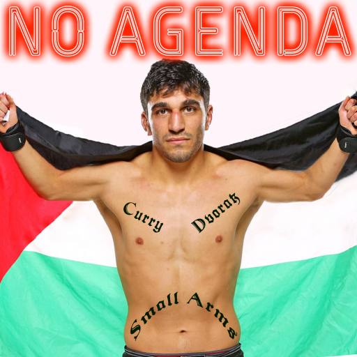 Palestinian Small Arms by John Fletcher