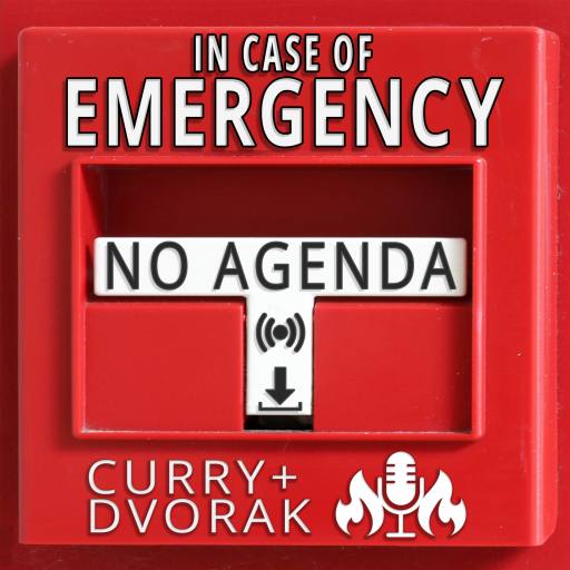 In Case of Emergency by Parker Paulie, a Black Knight