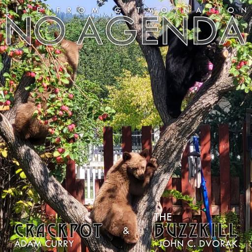 3 bears by Sircandinavian