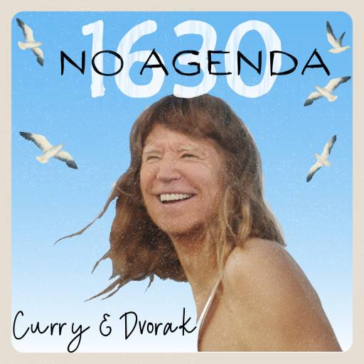 Swift 2024- 2.0 by Pickle Surprise