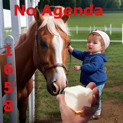 Sugar Horse or BAby by KisShow