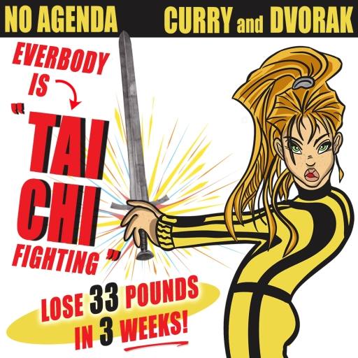 Tai Chi Fighting by nessworks